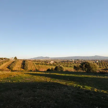 Monterazzano By Mmega ヴィラ *